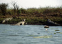 australia - the mary river 2.jpg